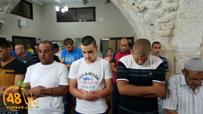 7ozaifa yaman (7).jpg